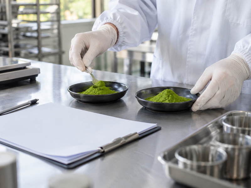 Matcha lots compared on a quality-control bench