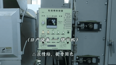 Secondary Drying & Leaf Vein Removal tea production footage
