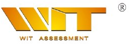 WIT Assessment logo
